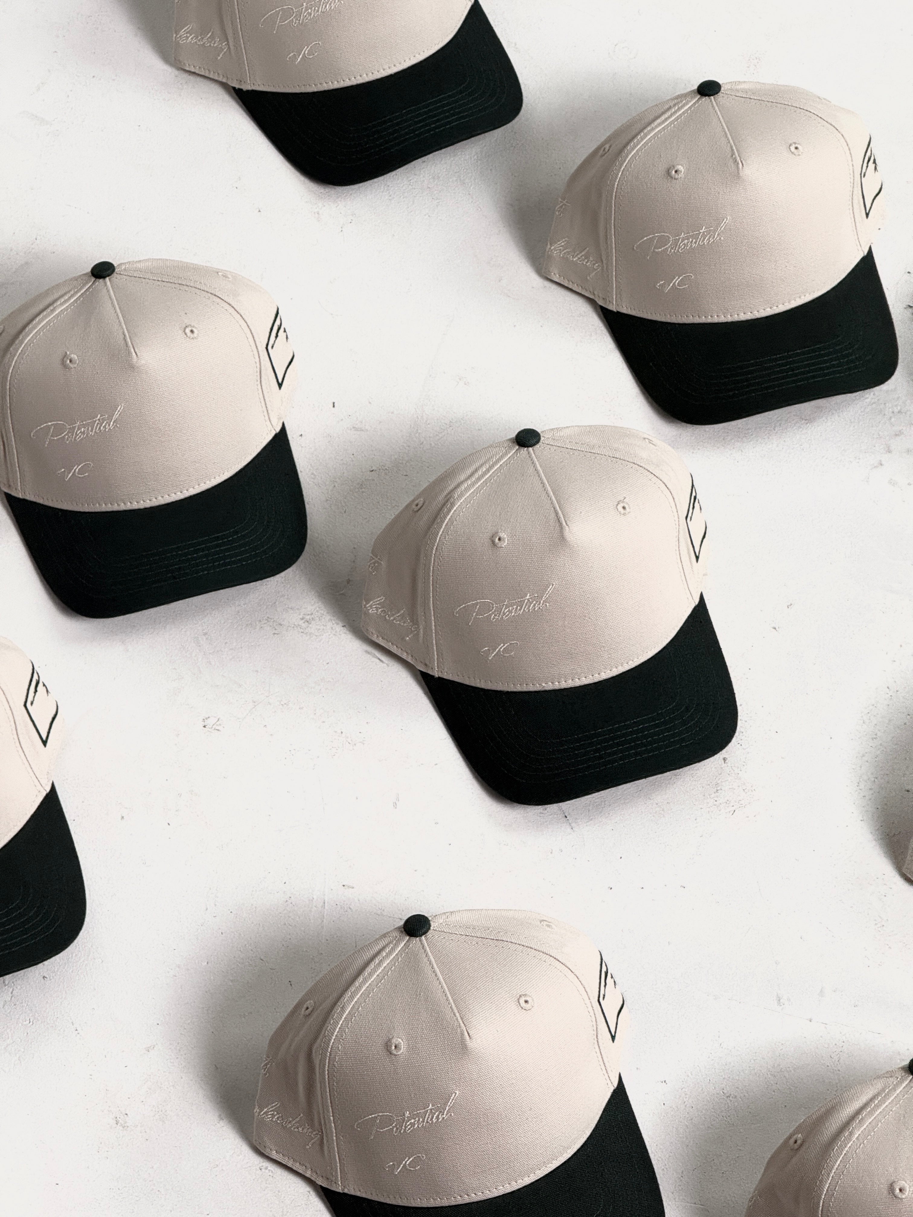 Taking Flight Trucker Cap