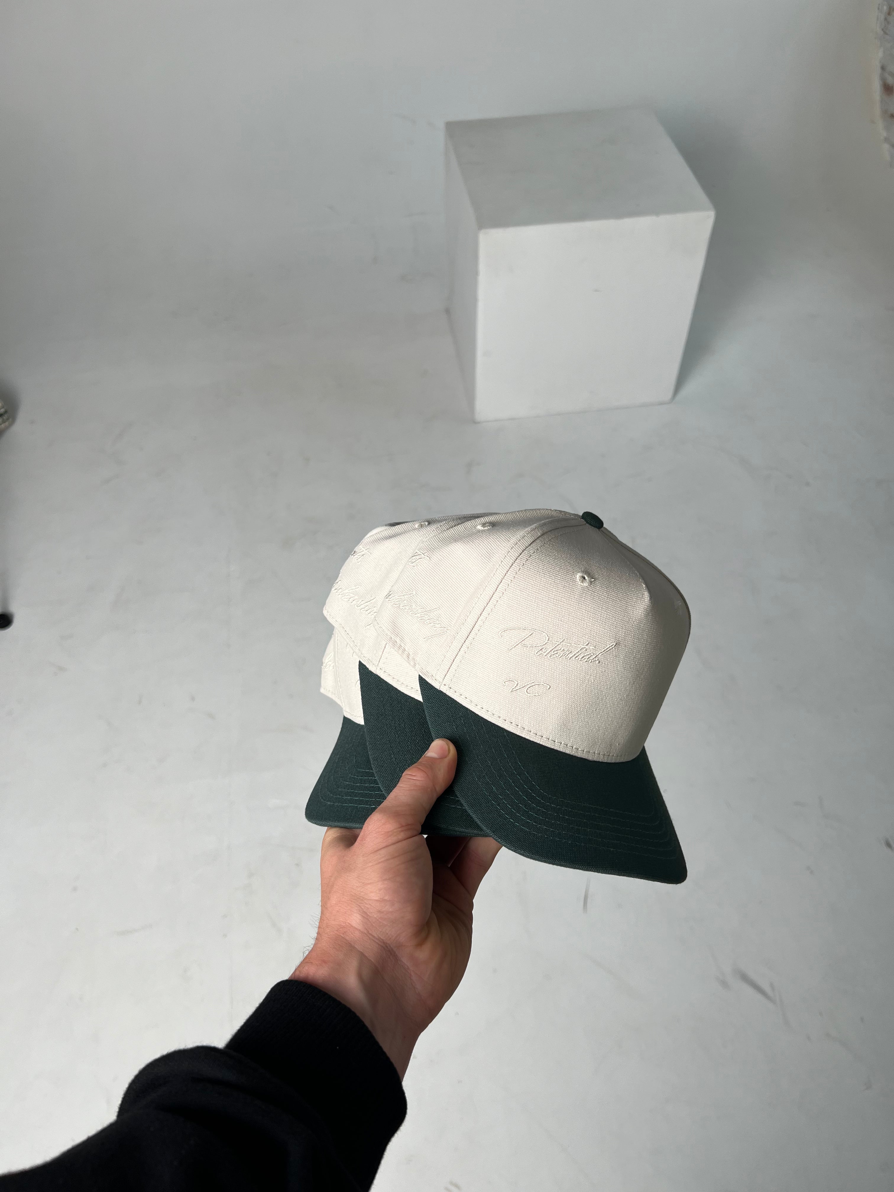 Taking Flight Trucker Cap