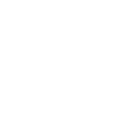 Virtues